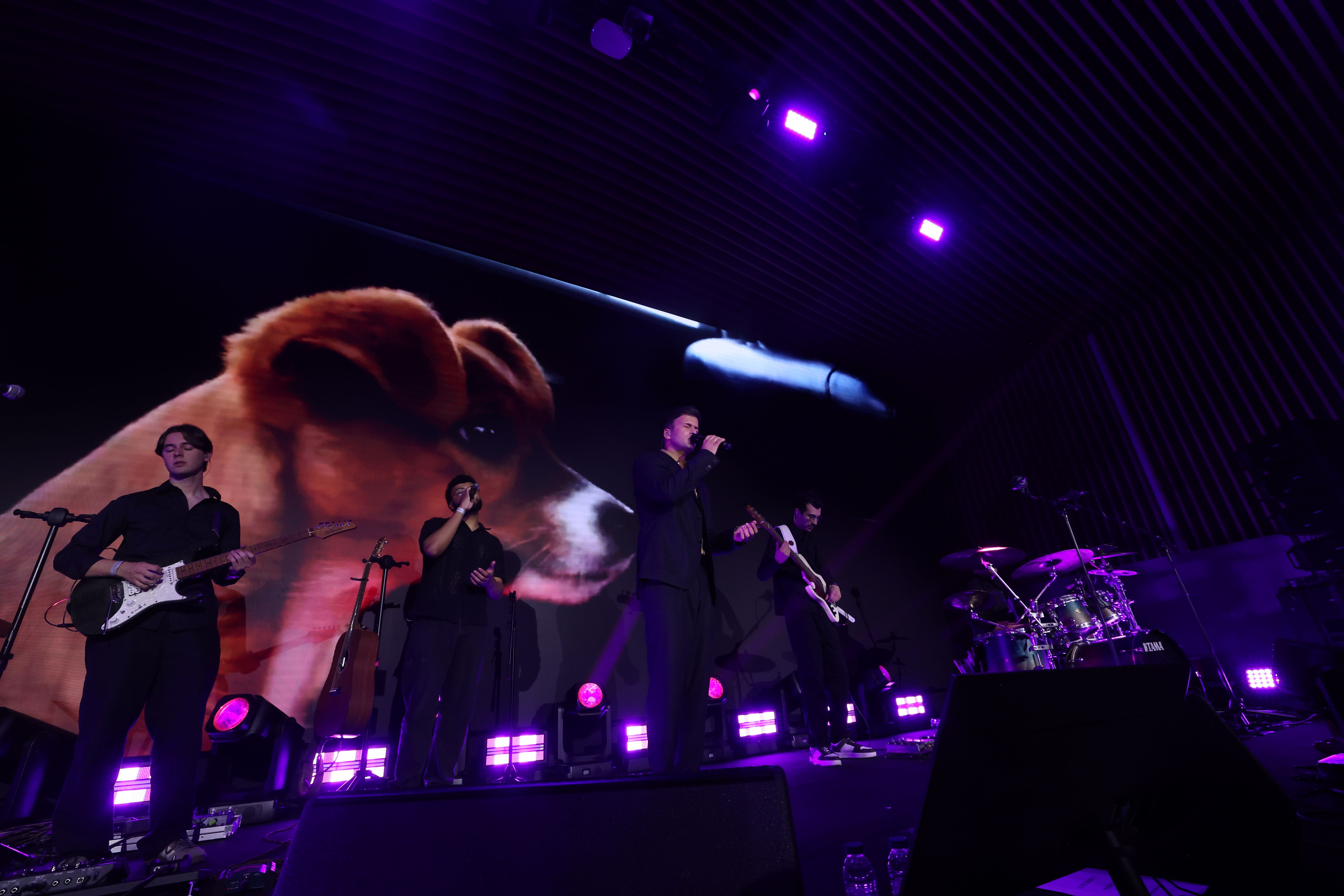 Os melhores momentos da Gala Solidária