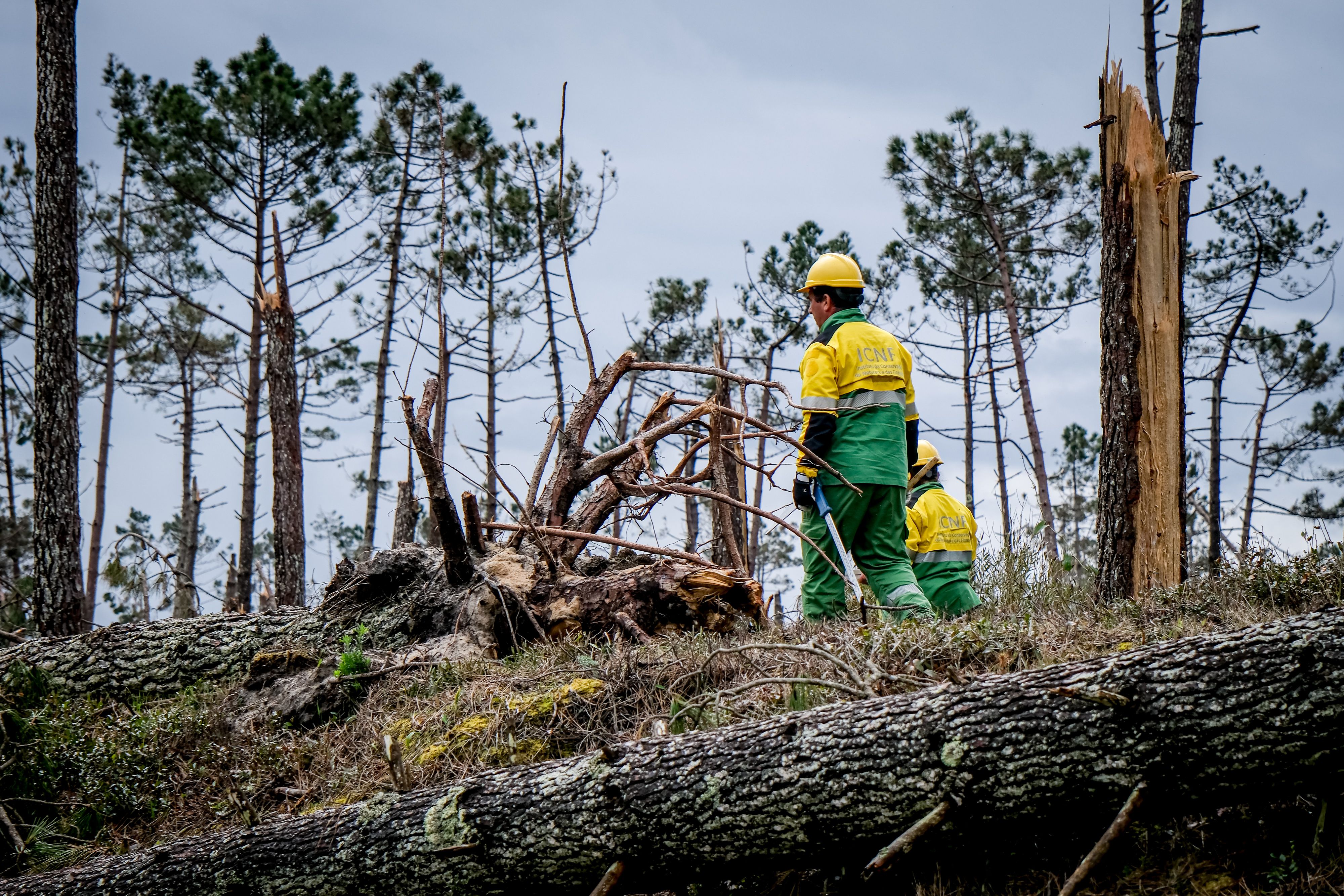 “A melhor defesa é a prevenção – Portugal chama. Por si. Por todos” junta Fundação do Futebol – Liga Portugal e Governo