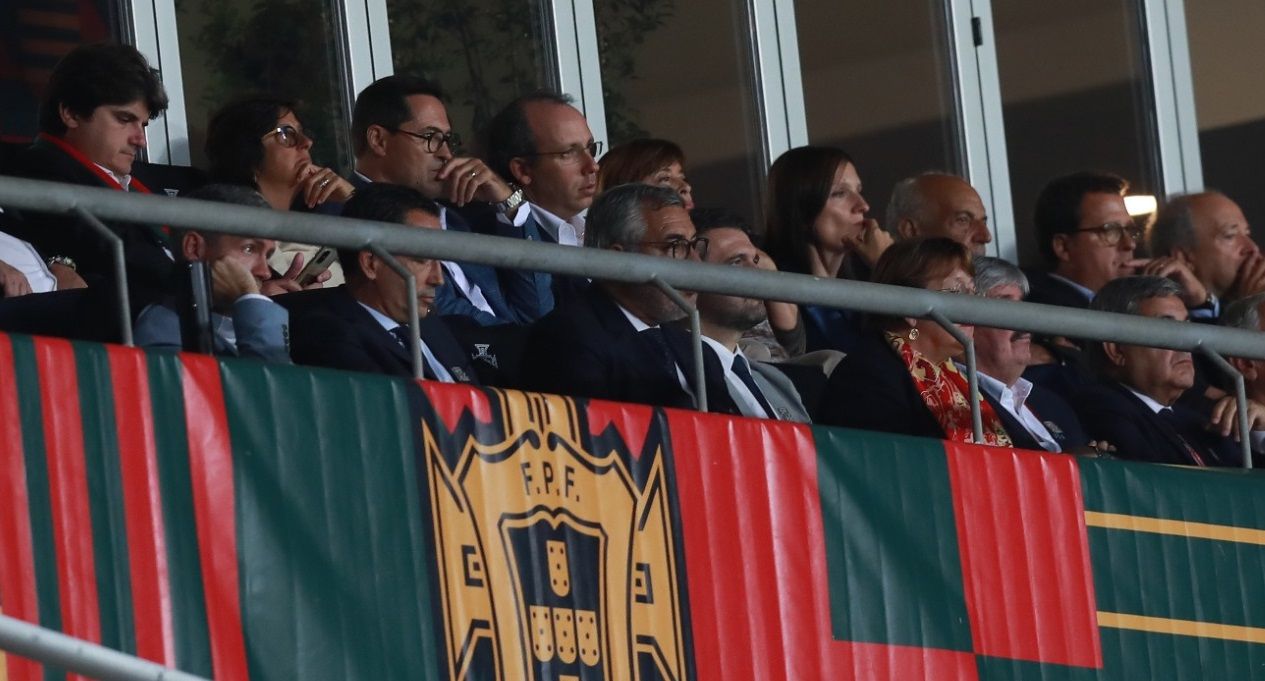 Pedro Proença no Portugal-Luxemburgo