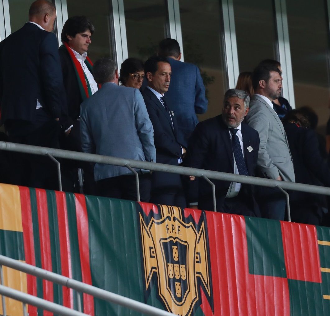Pedro Proença no Portugal-Luxemburgo